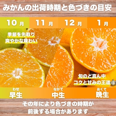 先行受付 訳あり 愛媛みかん 5kg サイズミックス ご家庭用 愛媛県 愛南町 愛なんよ