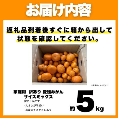 訳あり 愛媛みかん 5kg サイズミックス ご家庭用 愛媛県 愛南町 愛なんよ