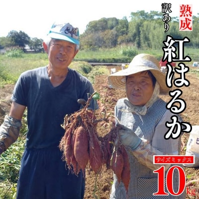 訳あり 熟成 紅はるか 10kg サイズ ミックス サツマイモ 愛媛県 愛南町 愛なんよ