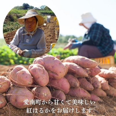 熟成 紅はるか 5kg M から 2L サイズ サツマイモ 愛媛県 愛南町 愛なんよ