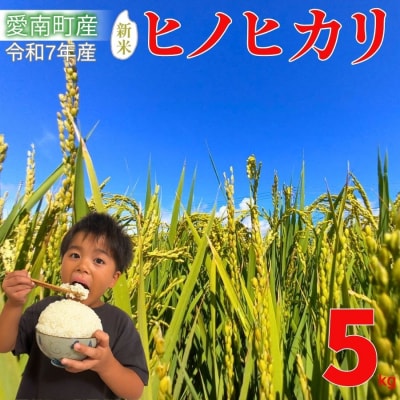 先行受付 新米 ヒノヒカリ 5kg 令和7年産 精米 米 愛媛県 愛南町 愛なんよ