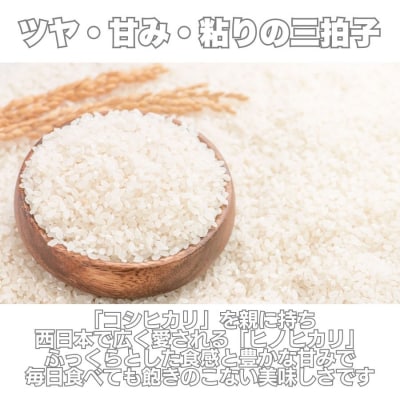 先行受付 新米 ヒノヒカリ 5kg 令和7年産 精米 米 愛媛県 愛南町 愛なんよ