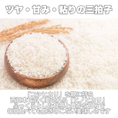 先行受付 ヒノヒカリ 5kg 令和7年産 精米 米 愛媛県 愛南町 愛なんよ