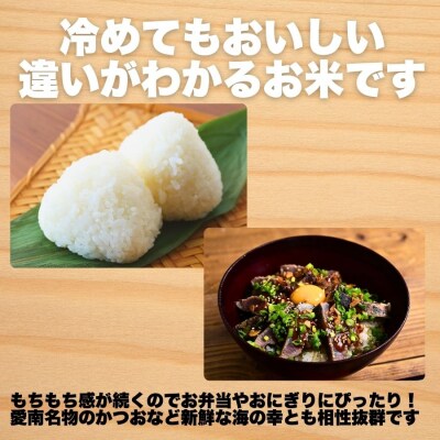先行受付 ヒノヒカリ 5kg 令和7年産 精米 米 愛媛県 愛南町 愛なんよ
