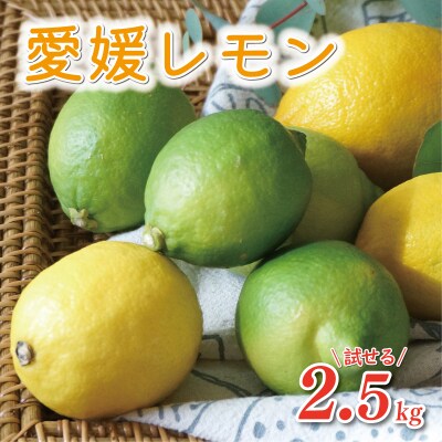 数量限定 先行受付 レモン 2.5kg あいなんマザーズ 愛南町 愛媛県