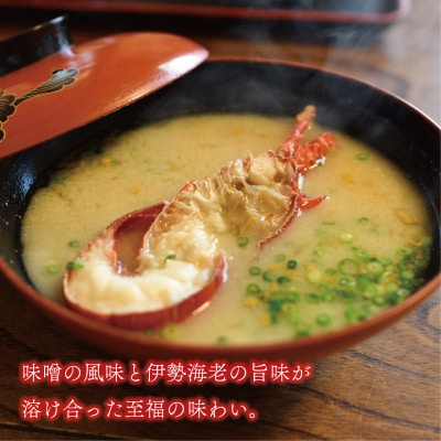 数量限定 豪華 海鮮福袋 伊勢海老 クエ 人気 お楽しみ セット ハマスイ 愛南町 愛媛県