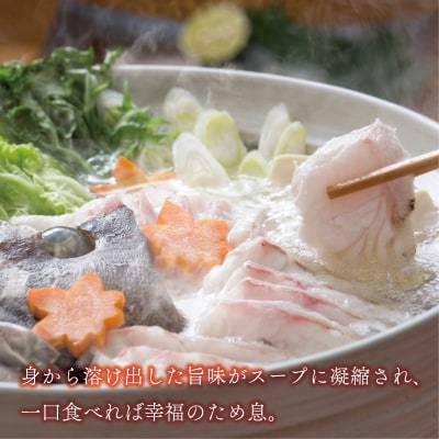 数量限定 豪華 海鮮福袋 伊勢海老 クエ 人気 お楽しみ セット ハマスイ 愛南町 愛媛県