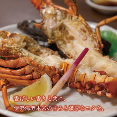 数量限定 豪華 海鮮福袋 伊勢海老 クエ 人気 お楽しみ セット ハマスイ 愛南町 愛媛県