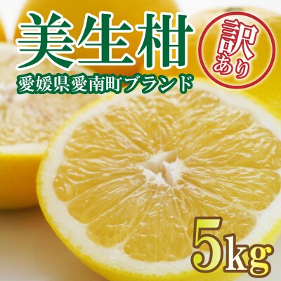 【先行受付】【2027年3月1日～】【訳あり】美生柑 約5kg フルーツアイランド・マルエム直販