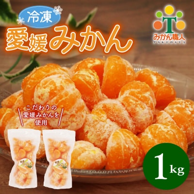 冷凍愛媛みかん 500g×2袋 冷凍みかん ミカン 冷凍ミカン みかん職人武田屋