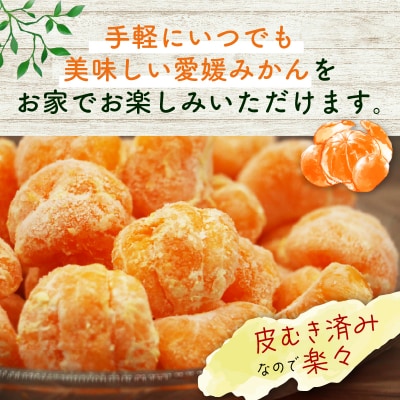 冷凍愛媛みかん 500g×2袋 冷凍みかん ミカン 冷凍ミカン みかん職人武田屋