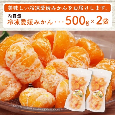 冷凍愛媛みかん 500g×2袋 冷凍みかん ミカン 冷凍ミカン みかん職人武田屋