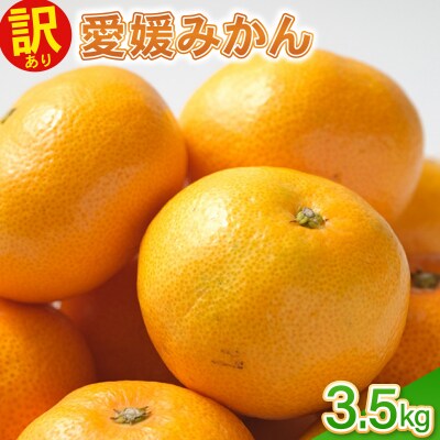 訳あり愛媛みかん 3.5kg 温州みかん みかん 先行予約 柑橘 傷み補償 不揃い 愛南町 青果市場