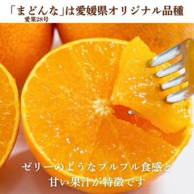 先行受付 訳あり まどんな 2kg マドンナ みかん 愛果28号 愛媛県 愛南町 愛なんよ