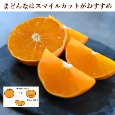 先行受付 訳あり まどんな 2kg マドンナ みかん 愛果28号 愛媛県 愛南町 愛なんよ