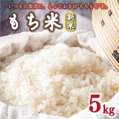令和8年産 新米 2026年産 もち米 5kg 愛媛県 愛南町産 農家直送 和家農園
