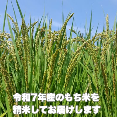 令和7年産 新米 2025年産 もち米 5kg 愛媛県 愛南町産 農家直送 和家農園