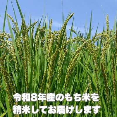 令和8年産 新米 2026年産 もち米 5kg 愛媛県 愛南町産 農家直送 和家農園