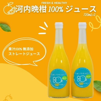 河内晩柑 ストレートジュース 2本×720ml 愛南ゴールド ジュース うみいろキャビン