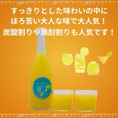 河内晩柑 ストレートジュース 2本×720ml 愛南ゴールド ジュース うみいろキャビン