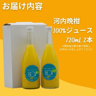 河内晩柑 ストレートジュース 2本×720ml 愛南ゴールド ジュース うみいろキャビン