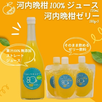 河内晩柑 ( 愛南ゴールド ) ジュース 720ml 1本 河内晩柑 ゼリー 180g 3個 セット