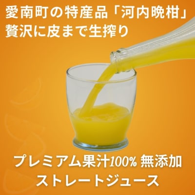 河内晩柑 ( 愛南ゴールド ) ジュース 720ml 1本 河内晩柑 ゼリー 180g 3個 セット
