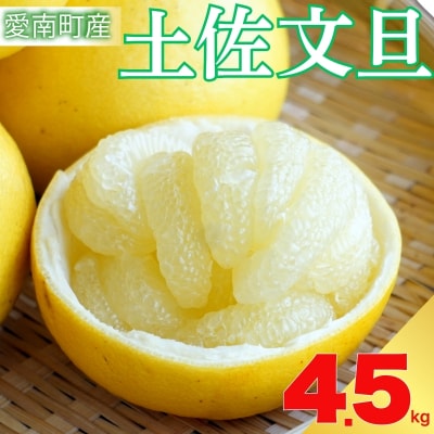 先行受付 土佐文旦 約4.5kg 文旦 愛媛県 愛南町 エニシトラス