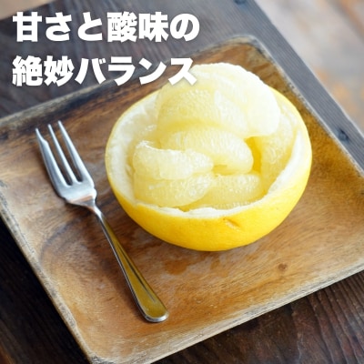 先行受付 土佐文旦 約4.5kg 文旦 愛媛県 愛南町 エニシトラス