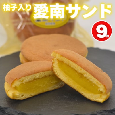 柚子入り 愛南サンド 9個 愛南ゴールド 河内晩柑 みかん 柑橘 老舗の味 梶原製菓