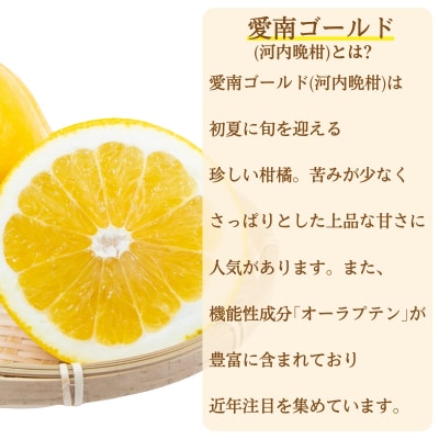 柚子入り 愛南サンド 9個 愛南ゴールド 河内晩柑 みかん 柑橘 老舗の味 梶原製菓