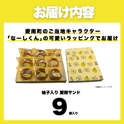 柚子入り 愛南サンド 9個 愛南ゴールド 河内晩柑 みかん 柑橘 老舗の味 梶原製菓