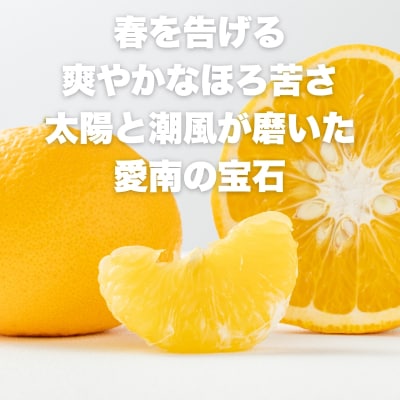 先行受付 訳あり 甘夏 5kg 柑橘 みかん サイズミックス 愛媛県 愛南町 エニシトラス