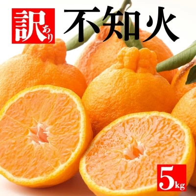 訳あり 不知火 5kg 家庭用 サイズミックス フルーツ 愛媛県 愛南町 和家農園