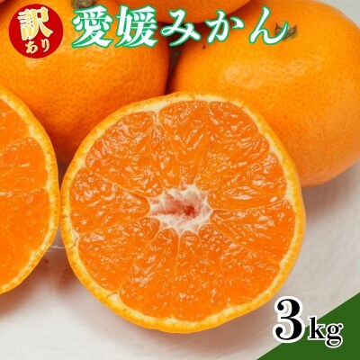 訳あり愛媛みかん 3kg 温州みかん みかん 先行予約 柑橘 傷み補償 不揃い 愛南町 青果市場