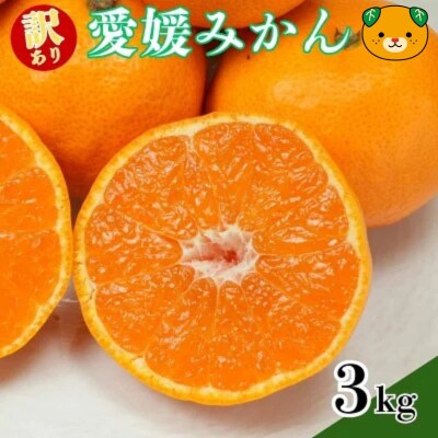 【先行予約:2026年11月中旬～発送】訳あり愛媛みかん 3kg 数量限定 愛南町青果市場組合