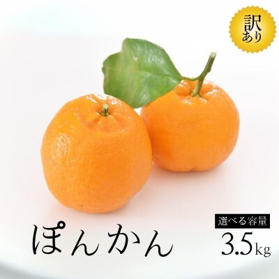 訳あり ポンカン ぽんかん 3.5kg 傷 不揃い 柑橘 みかん 愛南町 青果市場