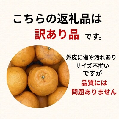 訳あり ポンカン ぽんかん 3.5kg 傷 不揃い 柑橘 みかん 愛南町 青果市場