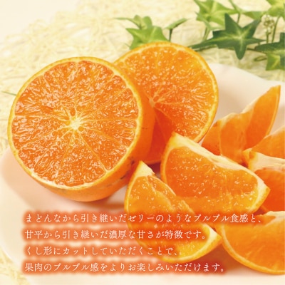 訳あり プリンセス 4.5kg サイズミックス 紅プリンセス と 同一品種 愛南町 和家農園