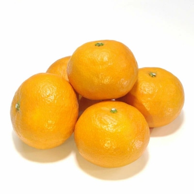 訳あり なつみ 5kg 柑橘 愛媛産 フルーツ 産地直送 ご家庭用 訳アリ 規格外 ひなたのみかん