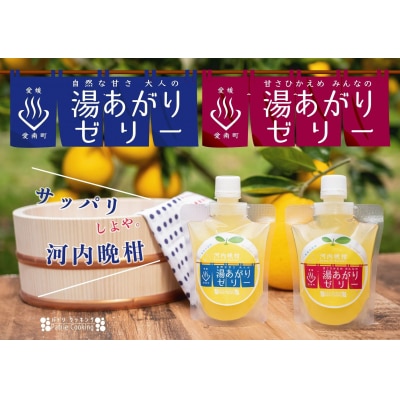 河内晩柑 飲むゼリー 8個入り 飲料 果物 果汁 フルーツ おやつ ジュース パトリクッキング