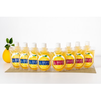 河内晩柑 飲むゼリー 8個入り 飲料 果物 果汁 フルーツ おやつ ジュース パトリクッキング