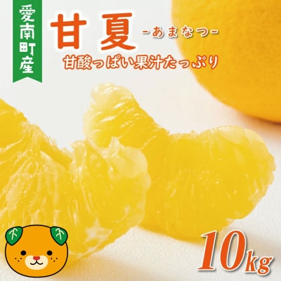 【先行予約:2026年12月中旬～発送】 訳あり 甘夏 10kg くらもとファーム 愛媛県 愛南町