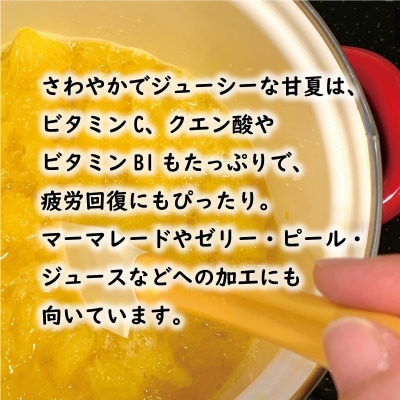 先行受付 訳あり 甘夏 10kg 樹齢25年 以上 みかん くらもとファーム 愛南町 愛媛県