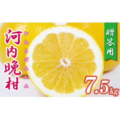 贈答用 河内晩柑 樹齢 30年以上 7.5kg みかん 果樹園みどり 愛南町 愛媛県