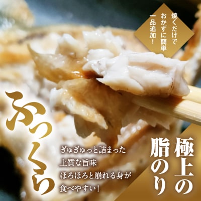 数量限定 ブリカマ 2.5kg ハマスイ 愛南町 愛媛県
