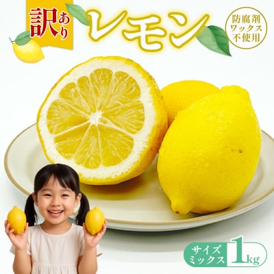 訳ありレモン 1kg サイズミックス カラーミックス 愛南町 青果市場