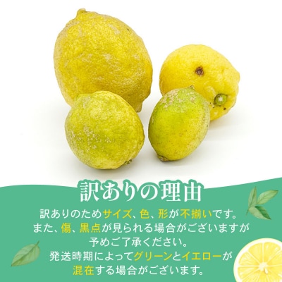 訳ありレモン 1kg サイズミックス カラーミックス 愛南町 青果市場