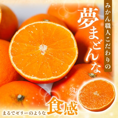 先行受付【紅まどんなと同品種】夢まどんな5kg  訳あり みかん 愛南町 みかん職人武田屋