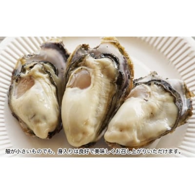 先行受付 殻付き 愛南かき 3kg サイズミックス 牡蠣 カキ 愛南町 愛媛県